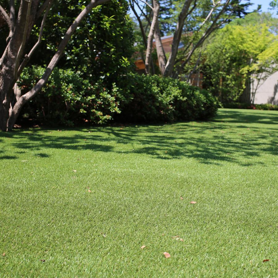 人工芝 サンプル 人工芝生 メモリーターフ MEMORY TURF ユニオンビズ