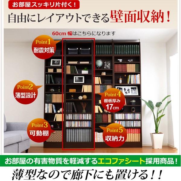 天井つっぱり 本棚 浅型 薄型 ラック : うさぎ屋 インテリア&DIY