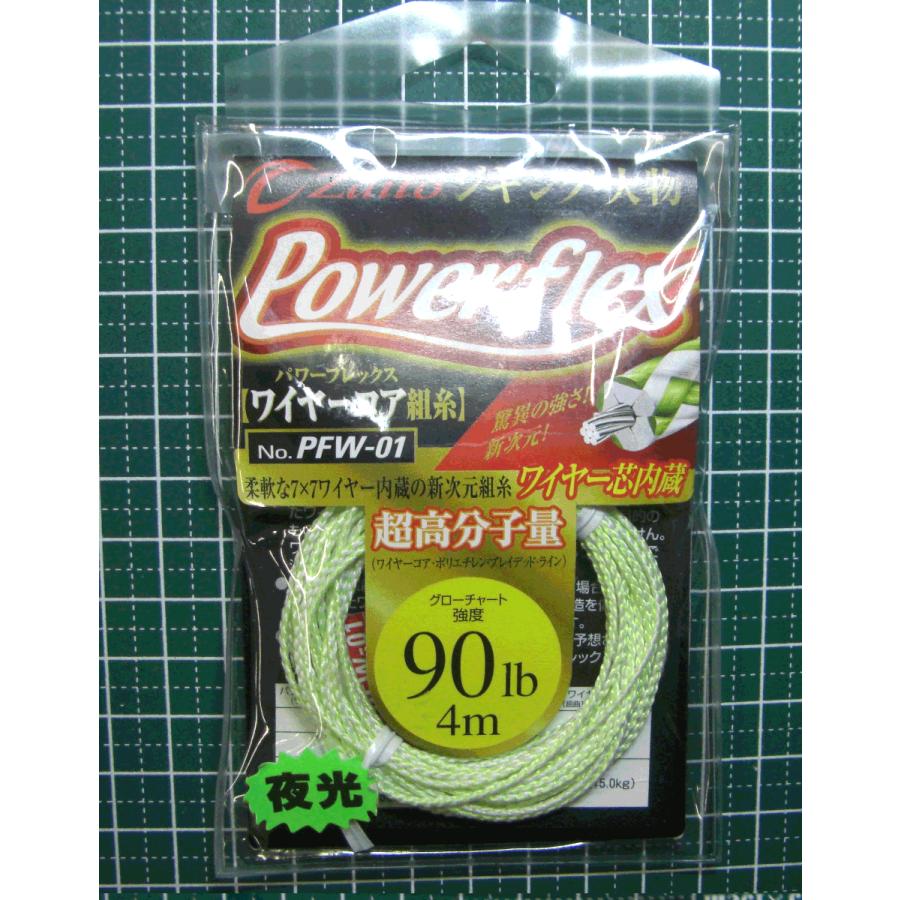 Golden Mean（ゴールデンミーン） パワーフレックスワイヤーコア 90LB