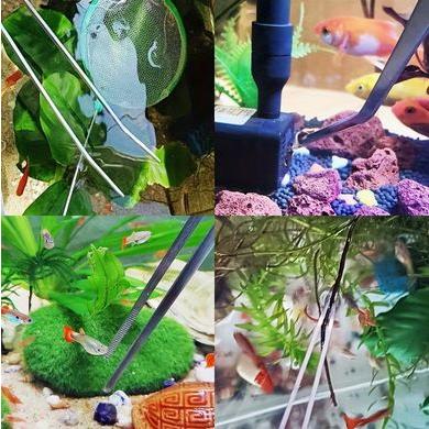 27cm ステンレス製給餌ピンセット アクアスケーピング ミミズ 爬虫類 トカゲ 水槽 (T51) | 