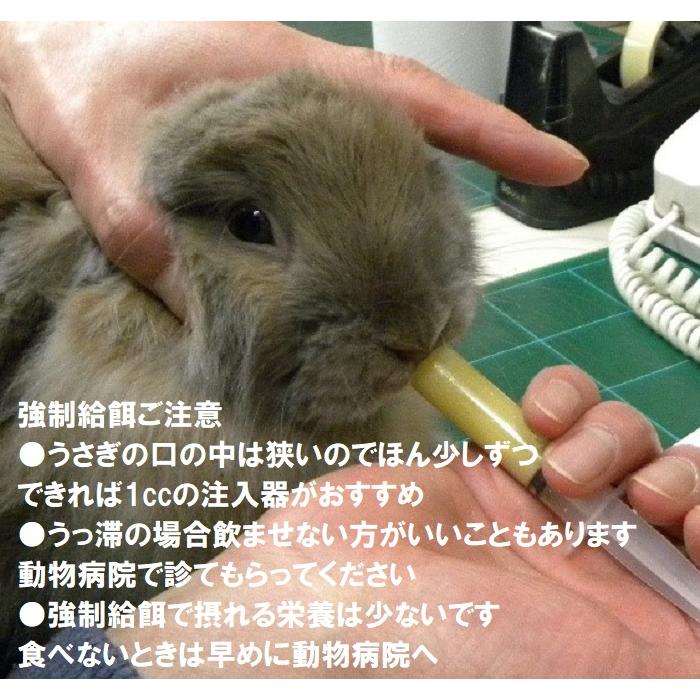 うさぎ 強制給餌 粉末フード60g +シリンジ10本セット うさぎさんの栄養 