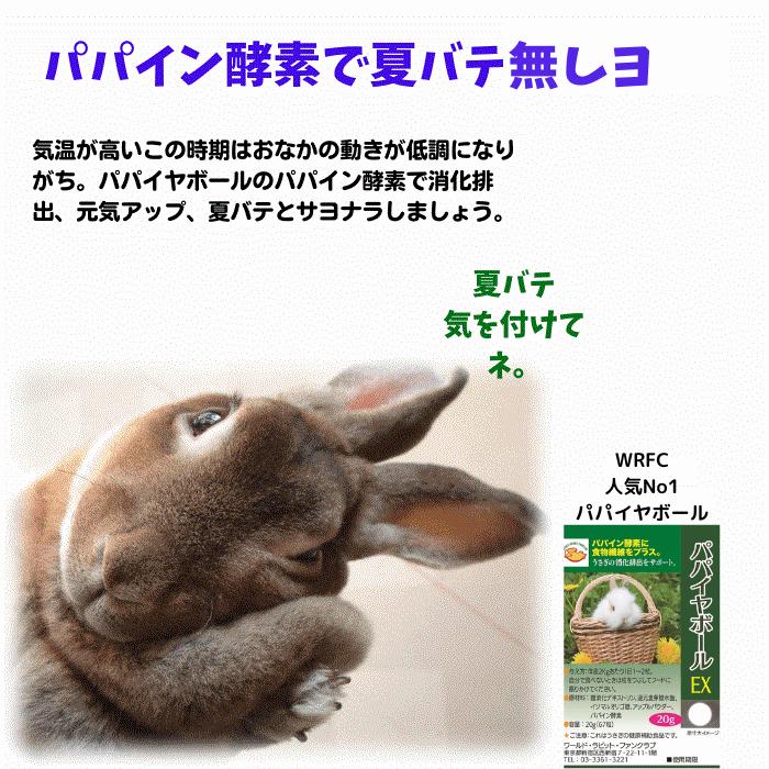 20%OFF うさぎファンクラブ 毛球予防 パパイヤボール20g 健康食品 うっ滞 パパイン酵素 胃腸 抜け毛 毛詰まり パパイヤ｜usagifanclub｜05