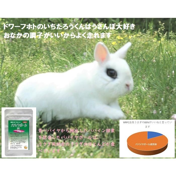 うさぎファンクラブ  パイヤボール60g パパイイン酵素 毛球症｜usagifanclub｜08