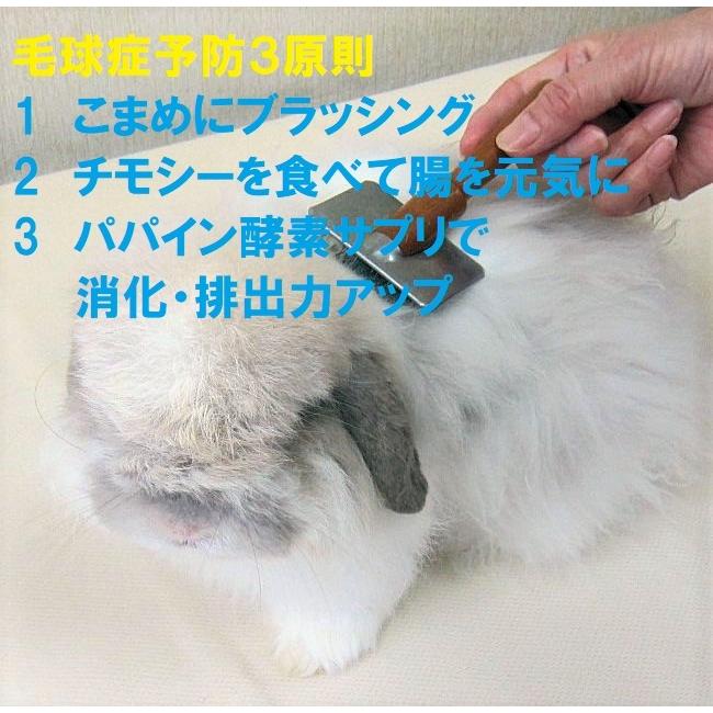 うさぎ サプリ Maxパパイヤボールg 健康食品 パパイヤ パパイン 毛球症予防 うっ滞 消化促進 動物病院 パパイン酵素 T005 うさぎファンクラブ 通販 Yahoo ショッピング