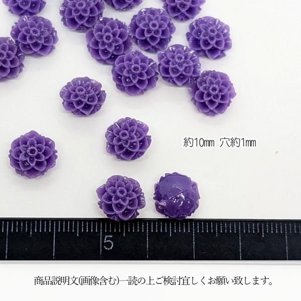 貝殻の装飾品 白色と薄紫色 宝石のような輝きはまるでアクセサリー。約100種のデザインから