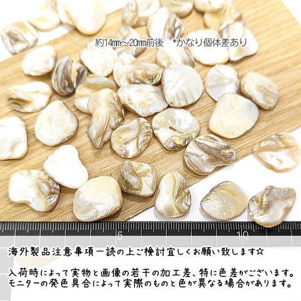 シェル ビーズ 不規則 14mm?20mm 淡水シェル ランダム 特価 貝殻 天然 