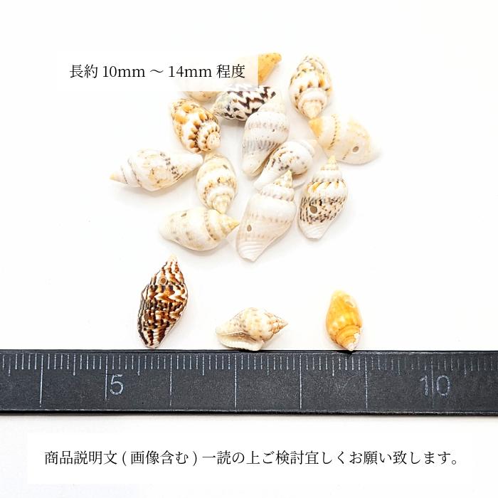 巻貝 シェルビーズ 10mm〜14mm程度 4グラム量り売り 15個前後