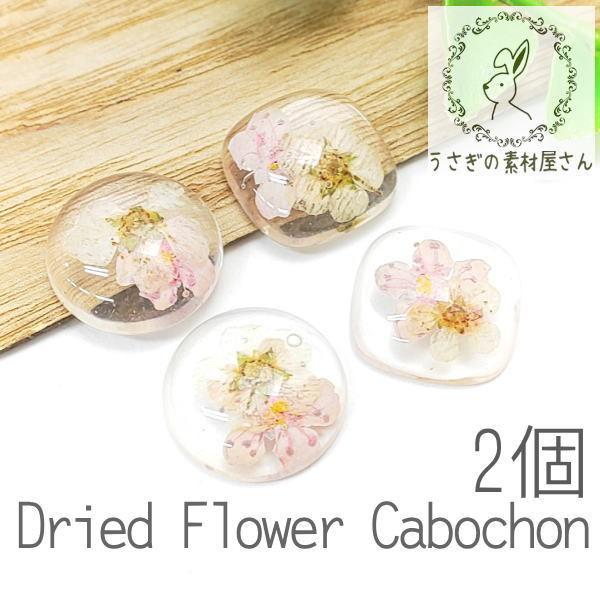 カボション 貼り付け ドライフラワー デコパーツ 2個/サークル
