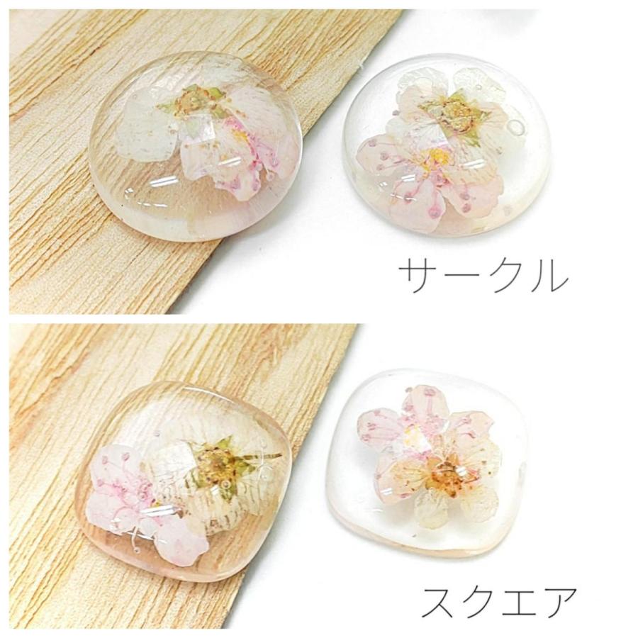 カボション 貼り付け ドライフラワー デコパーツ 2個/サークル 