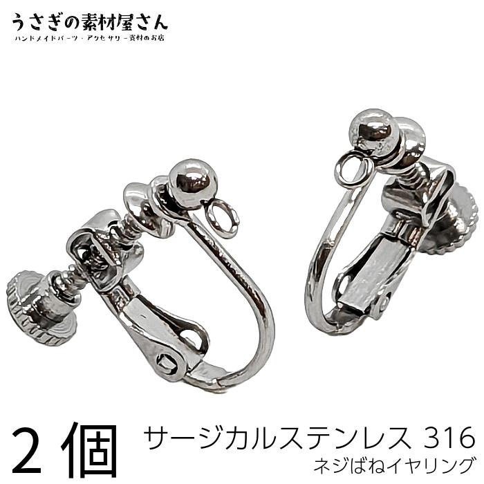 イヤリング サージカルステンレス 316ステンレス 1ペア アレルギー対応 