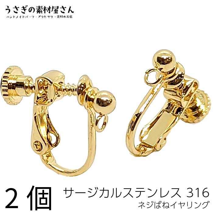 イヤリング サージカルステンレス 316ステンレス 1ペア アレルギー対応 
