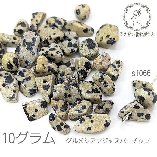 ダルメシアンジャスパー 5mm?10mm チップ 天然石 パワーストーン 貫通