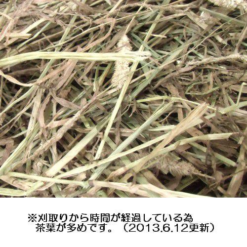 カナダチモシー１番刈り牧草　500g｜usagiya｜02