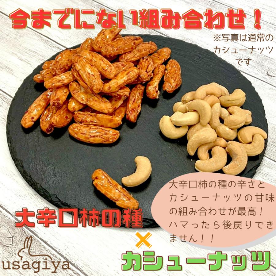 訳アリ大辛種 割れカシューナッツ入り 500g i大辛口柿の種  