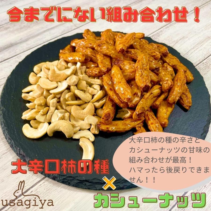 訳アリ大辛種 割れカシューナッツ入り 410g i大辛口柿の種