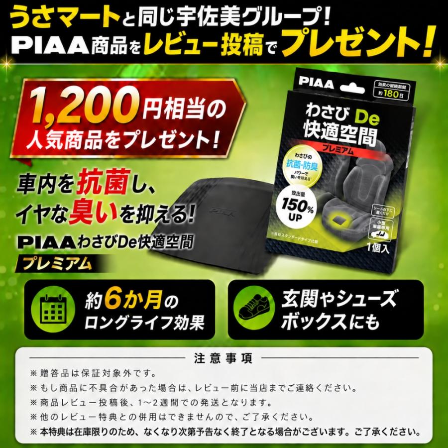 BGジャパン インジェクタークリーナー DFC+プラスHP 946ml BG23232