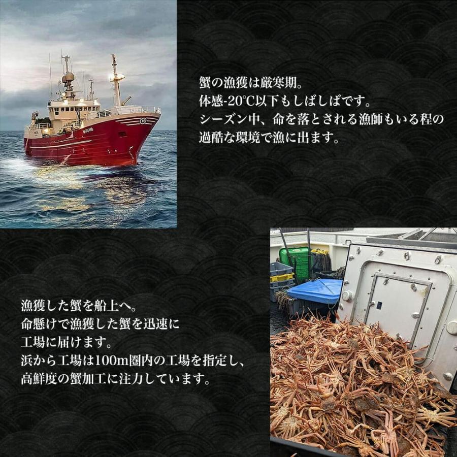 生食可 化粧箱 冷凍ボイルずわいがに 2kg入(5〜7肩) ズワイガニ ずわいがに ズワイ蟹 ずわい蟹 蟹 かに カニ 海鮮 鍋 しゃぶしゃぶ 刺身 お歳暮 年末年始｜usamart｜06