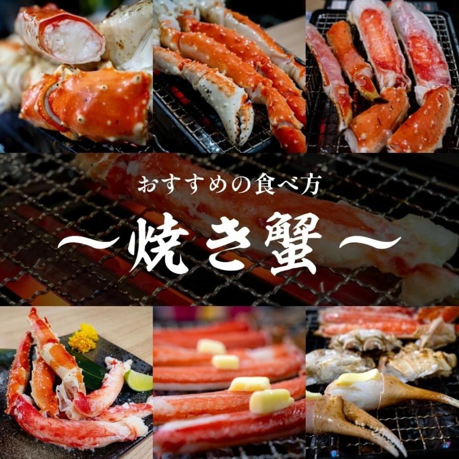 生ズワイポーション 4L 20本入×6パック 約3kg カニ ズワイガニ