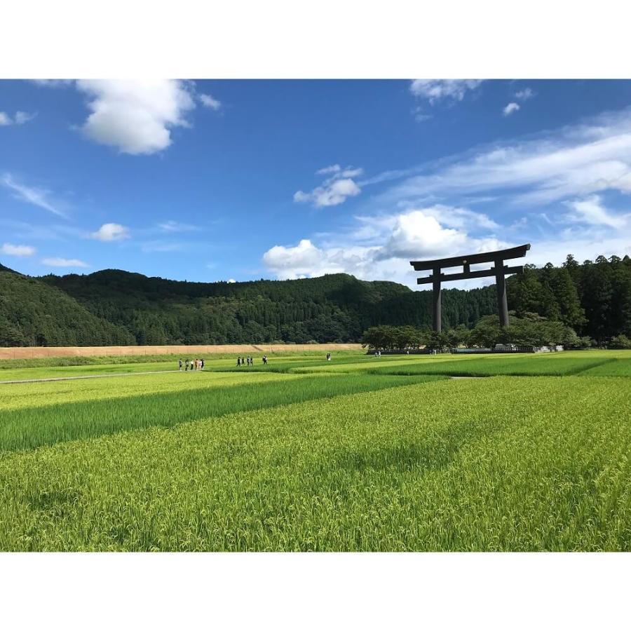 和歌山 熊野本宮釜餅 3種32個入 もち 餅 よもぎ 蓬 餡子 あんこ 和菓子