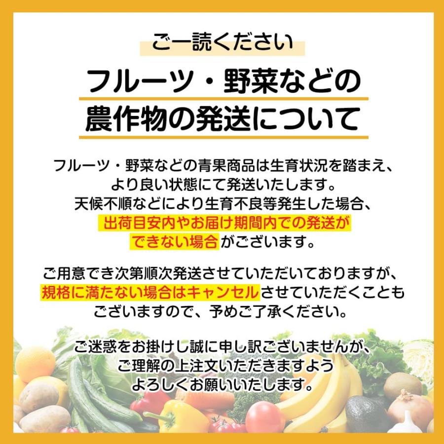 母の日2024 キングデラ 山梨県産 5〜7房 約1.0kg ギフト ぶどう 葡萄 絶品 1kg 詰合せ セット 山梨県｜usamart｜05