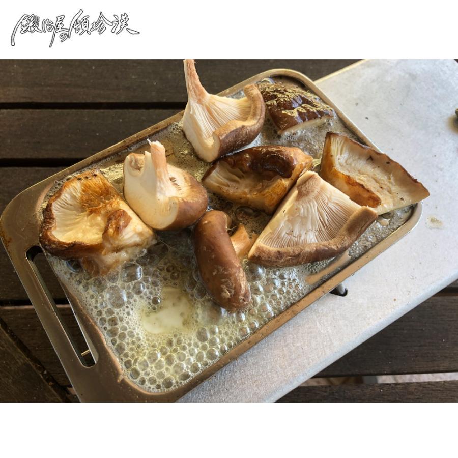 ソロキャンプ メスティン 鉄板 アウトドア ST-310 キャンプ セイコー 鍛冶屋の頓珍漢 ミガキ鉄板 Z180T9 キャンプ用品 ソロキャンプ メスティン 鉄板 アウトドア ST-310 キャンプ セイコー