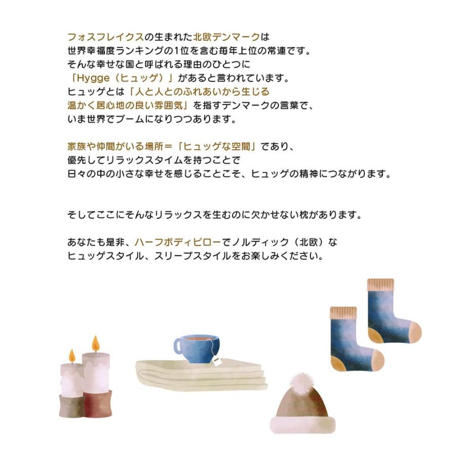 篠原化学 fossflakes フォスフレイクス ハーフボディピロー クラシック