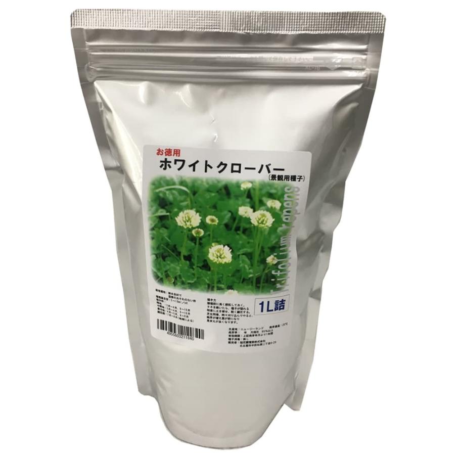ホワイトクローバー シロツメクサ 福花園種苗 ホワイトクローバーお徳用種子 1L : 9000000126053 : うさマートYahoo!ショッピング店 - 通販 - Yahoo!ショッピング ホワイトクローバー シロツメクサ 福花園種苗 ホワイトクローバーお徳用種子 1L : 9000000126053 : うさマートYahoo!ショッピング店 - 通販 - Yahoo!ショッピング