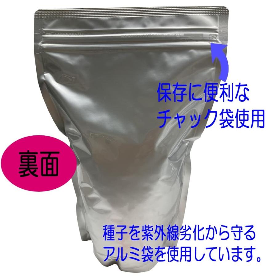 ホワイトクローバー シロツメクサ 福花園種苗 ホワイトクローバーお徳用種子 1L : 9000000126053 : うさマートYahoo!ショッピング店 - 通販 - Yahoo!ショッピング ホワイトクローバー シロツメクサ 福花園種苗 ホワイトクローバーお徳用種子 1L : 9000000126053 : うさマートYahoo!ショッピング店 - 通販 - Yahoo!ショッピング