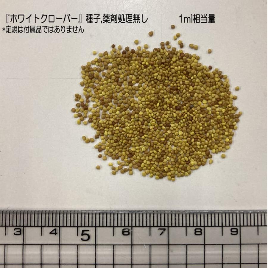 ホワイトクローバー シロツメクサ 福花園種苗 ホワイトクローバーお徳用種子 1L : 9000000126053 : うさマートYahoo!ショッピング店 - 通販 - Yahoo!ショッピング ホワイトクローバー シロツメクサ 福花園種苗 ホワイトクローバーお徳用種子 1L : 9000000126053 : うさマートYahoo!ショッピング店 - 通販 - Yahoo!ショッピング