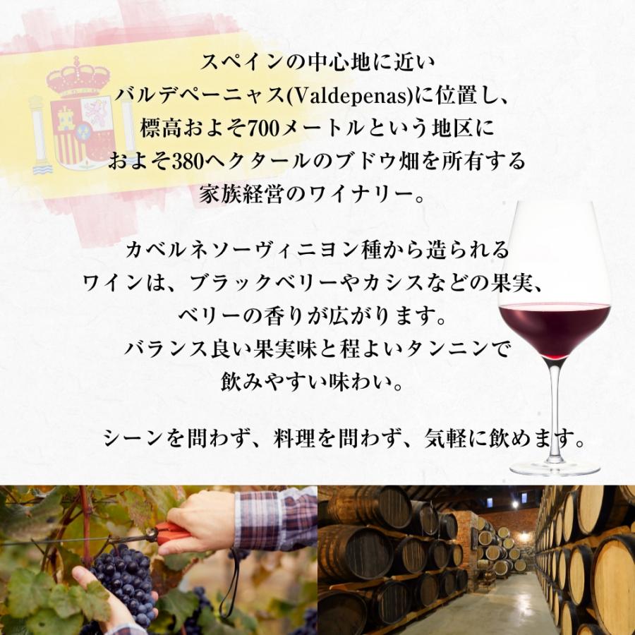 ワイン ボックスワイン 果実酒 赤ワイン 大容量 お買い得セット ノルレ