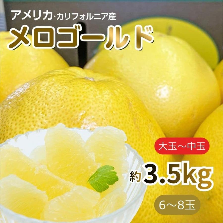 どっか～ん　木熟メロゴールド8キロ 黄金の果実 木熟メロゴールド あふれる果汁 感動の柑橘 アメリカ産 約