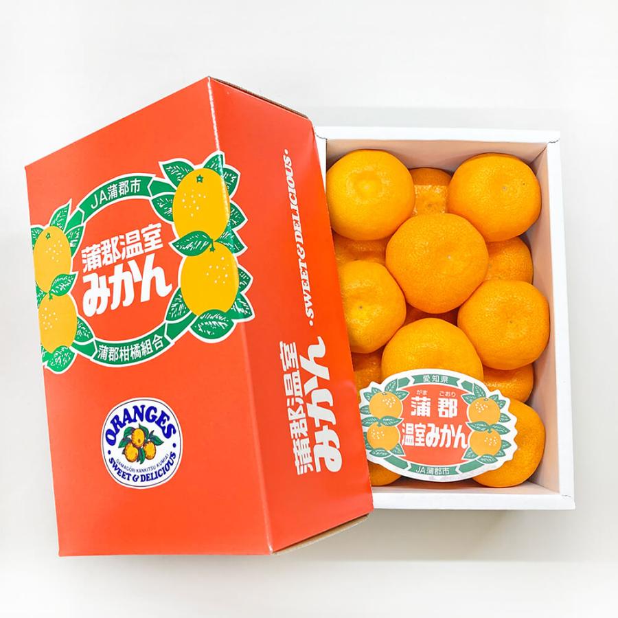 絹肌みかん 蒲郡温室みかん 全国2位 愛知県蒲郡市産 約1.2kg 12〜15玉