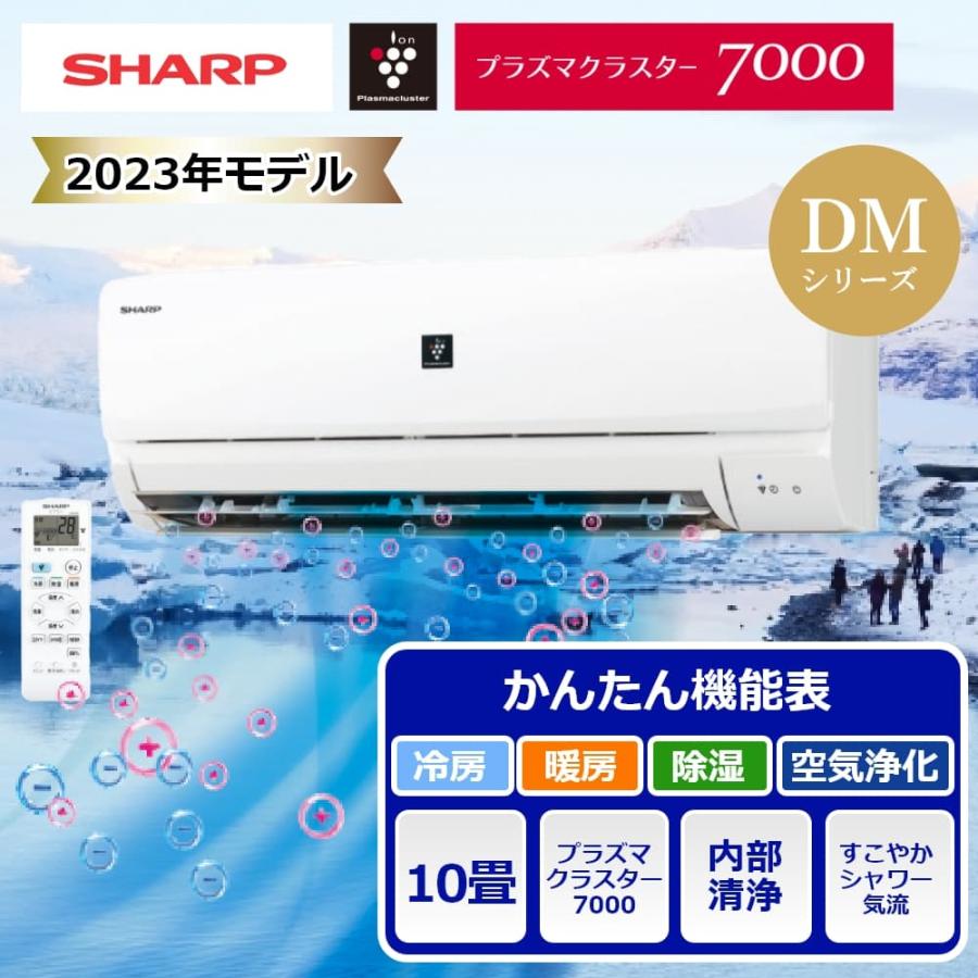 配送のみ シャープ ルームエアコン 10畳用 DMシリーズ 2023年モデル AY  