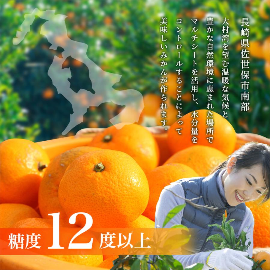 糖度12度以上】味まるみかん S〜Lサイズ 約5kg : うさマートYahoo