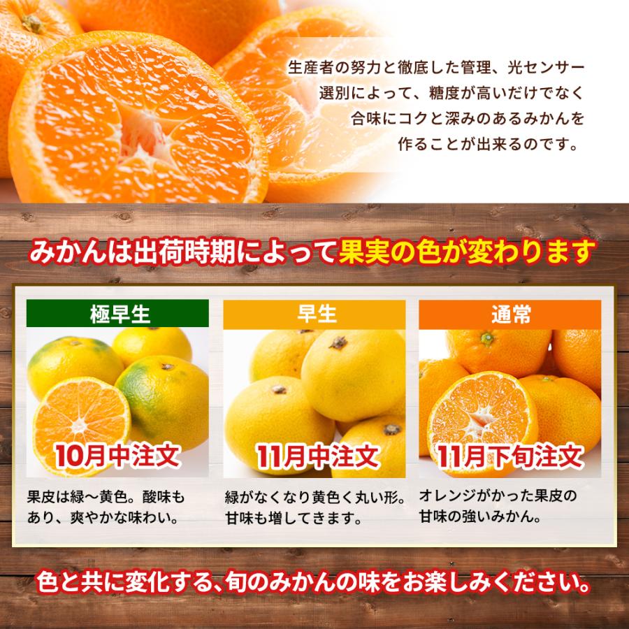 糖度12度以上】味まるみかん S〜Lサイズ 約5kg : うさマートYahoo