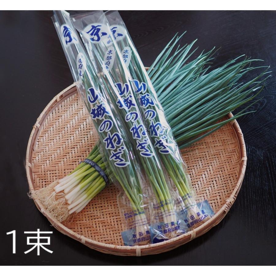 秋田農園 山城のねぎ 1kg ねぎ ネギ 葱 長ネギ 京都産 京野菜 お味噌汁