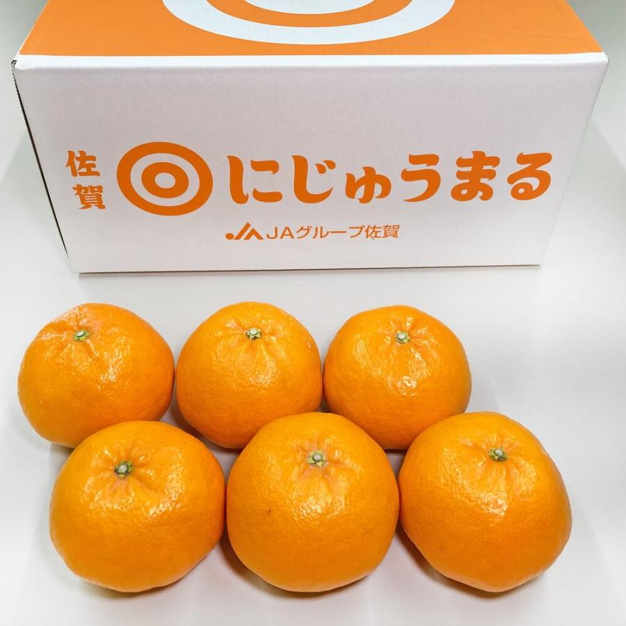 全てが◎な柑橘】にじゅうまる 佐賀県産 約5kg 等級優 約12〜24玉 4L