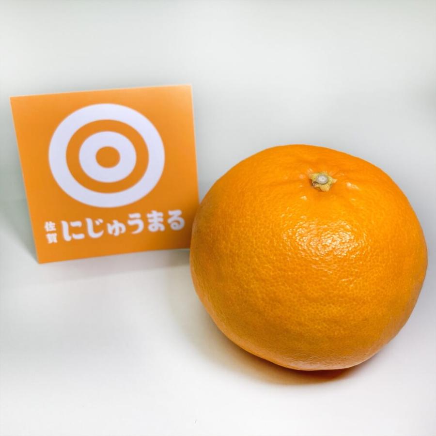 『専用出品 P』JA佐賀 「にじゅうまる」 秀 3L 5k（約17玉）×2箱 32528.l.1.jpg