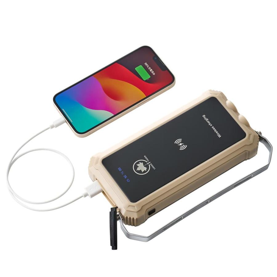 在庫処分（新品・未使用）】ロゴスコーポレーション 野電 パワー