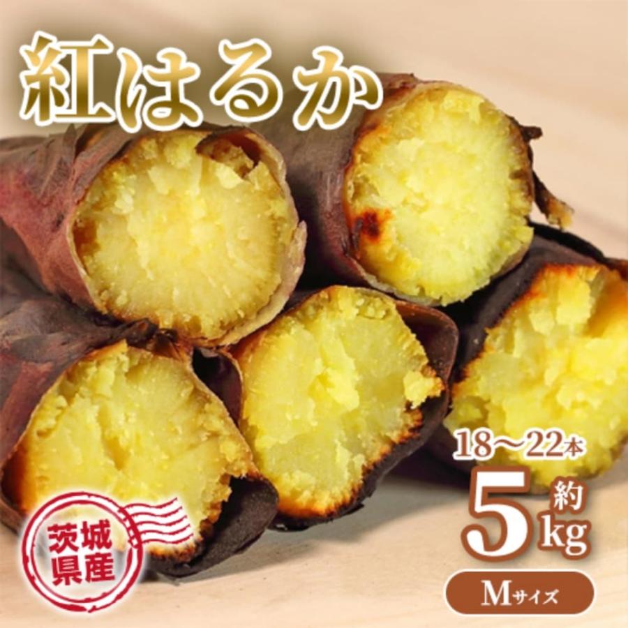 さつまいも 5kg 紅はるか 茨城県産 18〜22本前後 Mサイズ 甘い DX