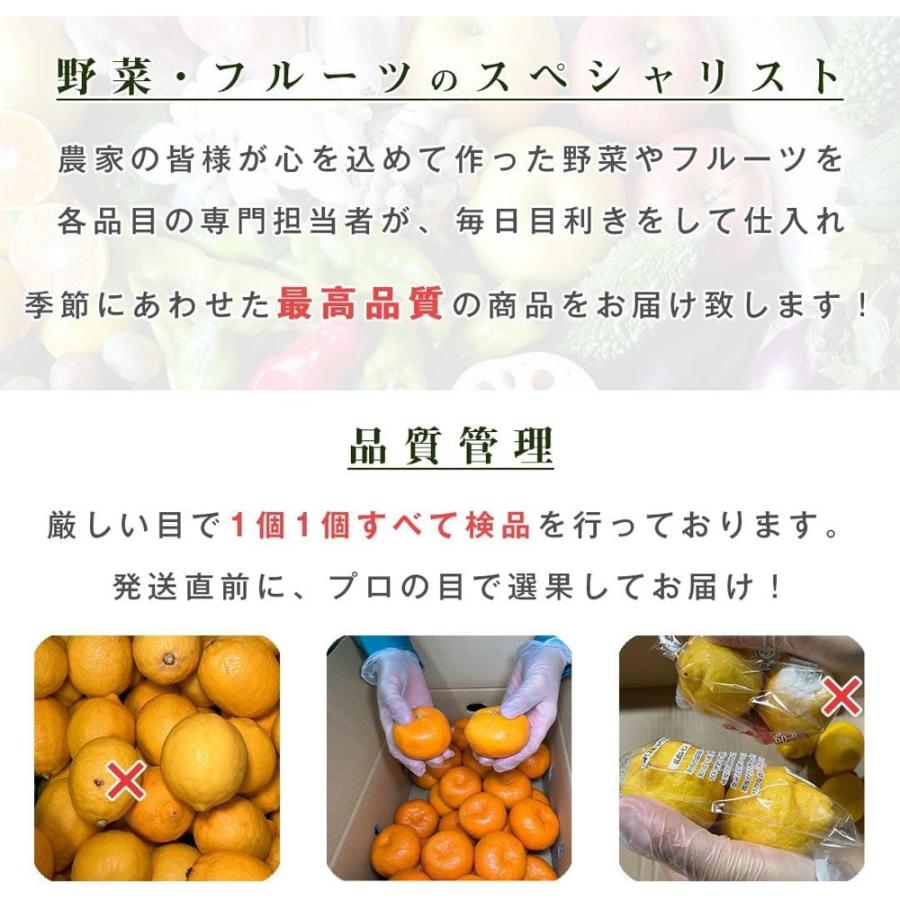 さつまいも 5kg 紅はるか 茨城県産 18〜22本前後 Mサイズ 甘い DX