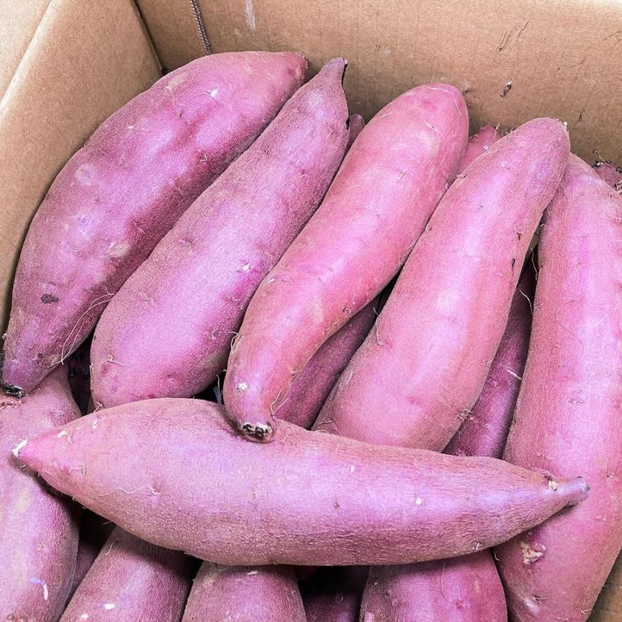 さつまいも 5kg 紅はるか 茨城県産 30〜35本前後 Sサイズ 甘い DX
