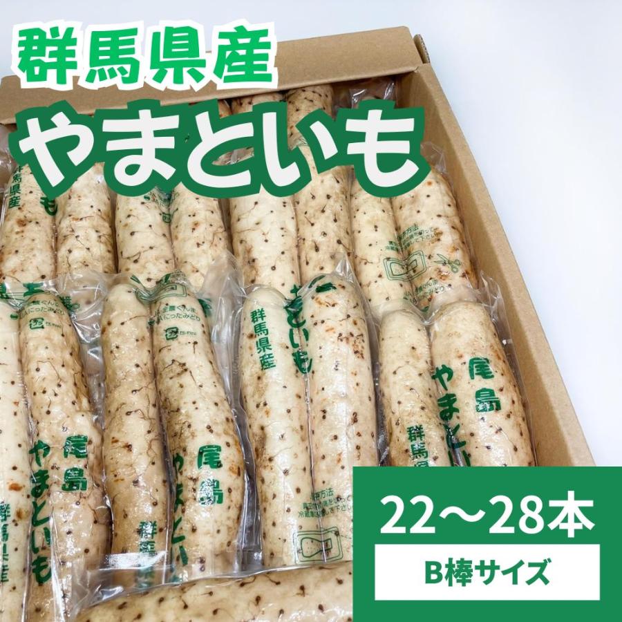 やまいも 山芋 大和芋 やまといも 群馬県産 22〜28本 B棒 1箱 とろろ 冷蔵