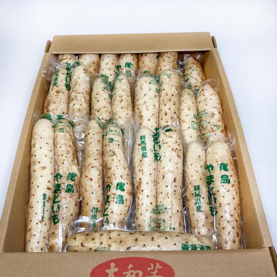 山芋 大和芋 やまといも 群馬県産 22〜28本 B棒 1箱 とろろ 冷蔵