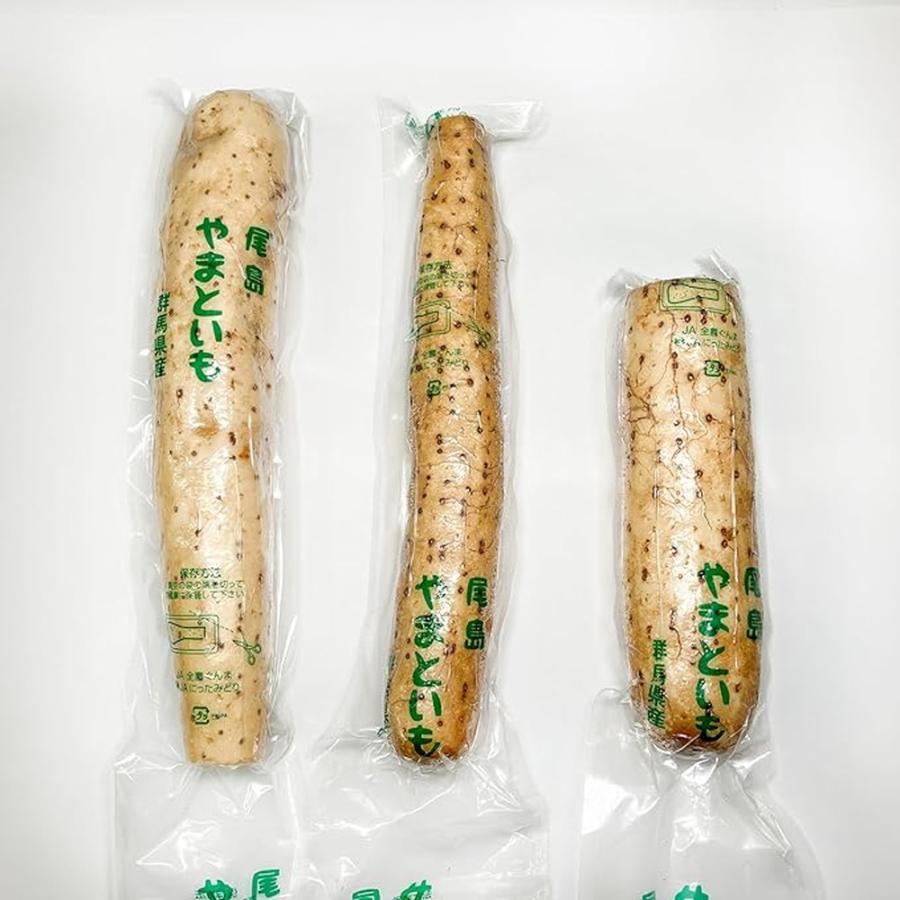 山芋　規格外品　10k 山芋 規格外品 10k 【公式通販】