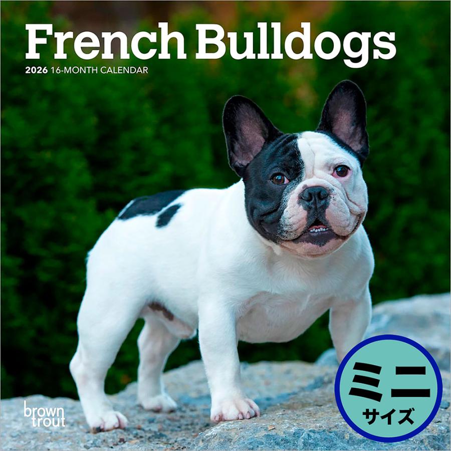 Do　ゾウと小鳥　フレンチブルドッグ ブラウントラウト 2026年 フレンチ・ブルドッグ 壁掛けミニカレンダー