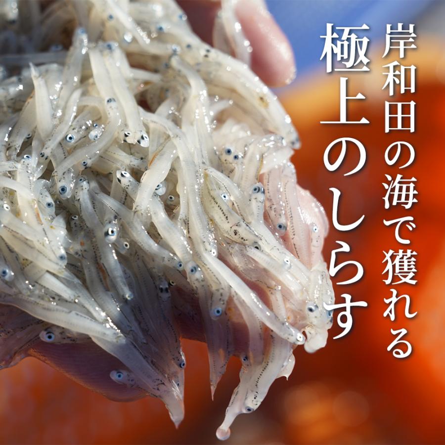 極上】大阪産 釜揚げしらす 500g（250g×2）しらす丼タレ4個付き 冷蔵