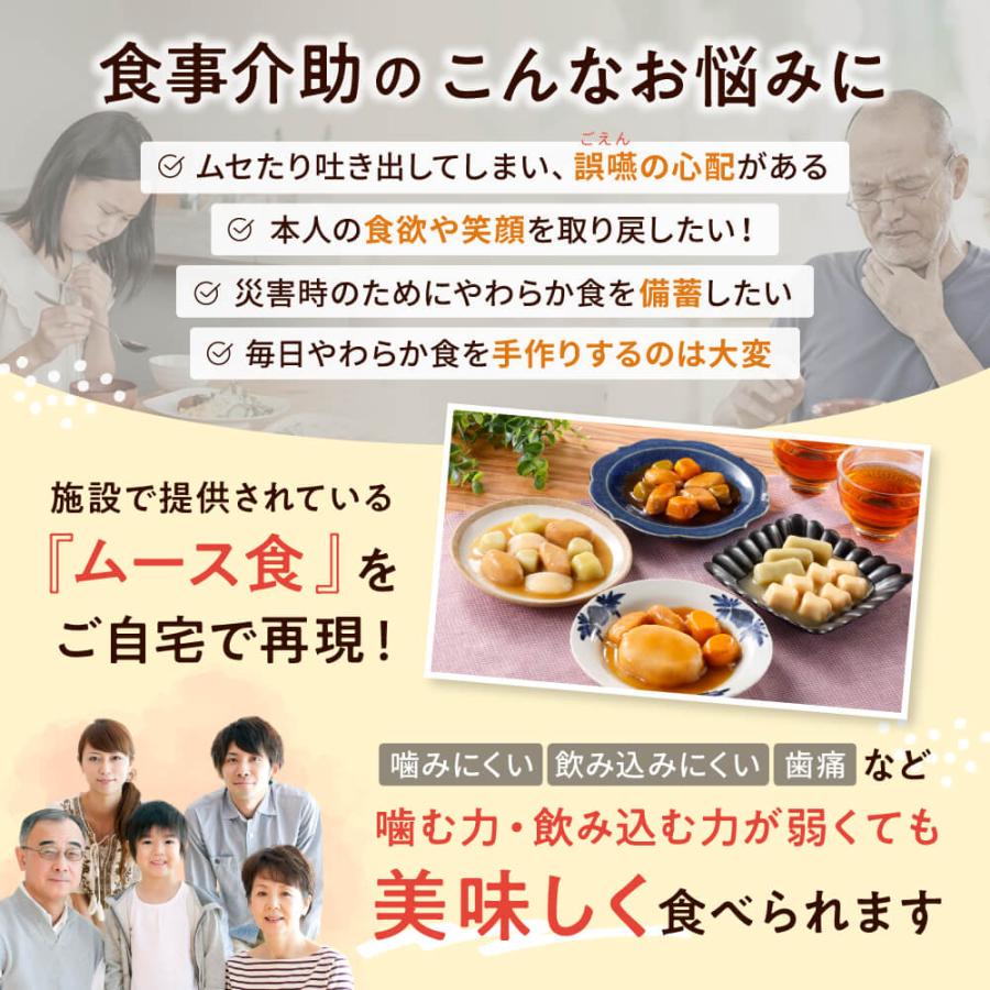 大和製罐 エバースマイル ムース食主菜 12種×2 24食セット 介護食