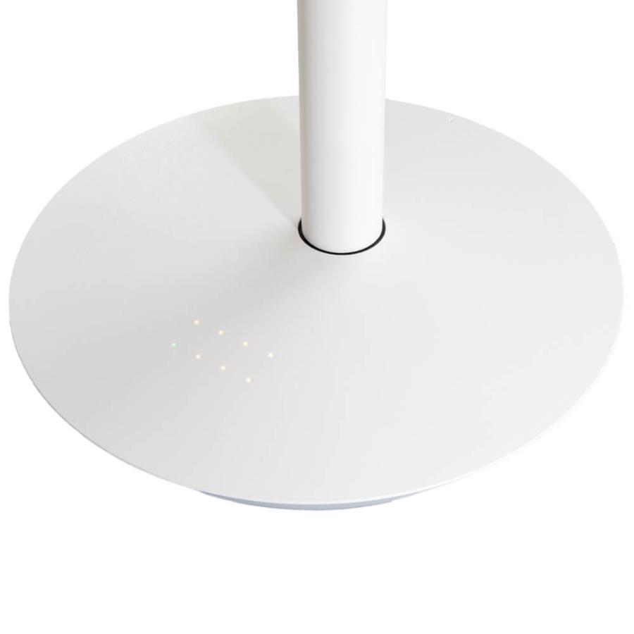 バルミューダ BALMUDA The Green Fan グリーンファン 扇風機 リモコン