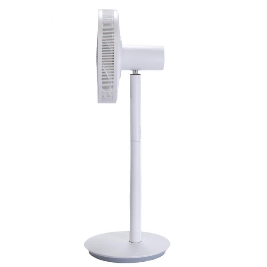 バルミューダ BALMUDA The Green Fan グリーンファン 扇風機 リモコン